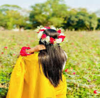 উপন্যাস: স্বপ্ন